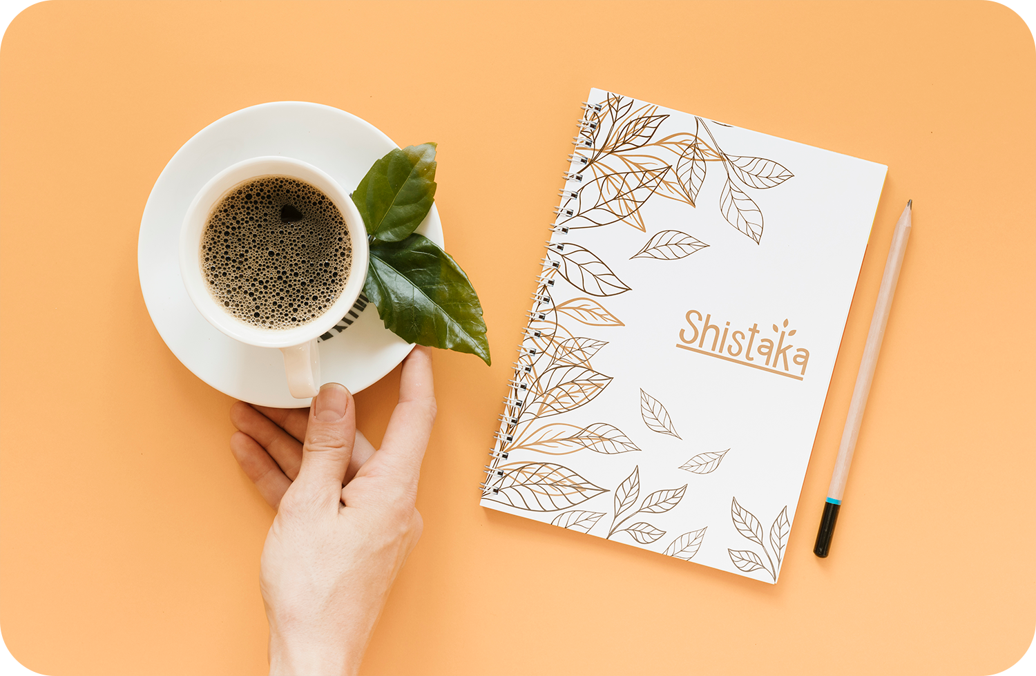 Shistaka - Introducing the world to a new world of garden fresh teas