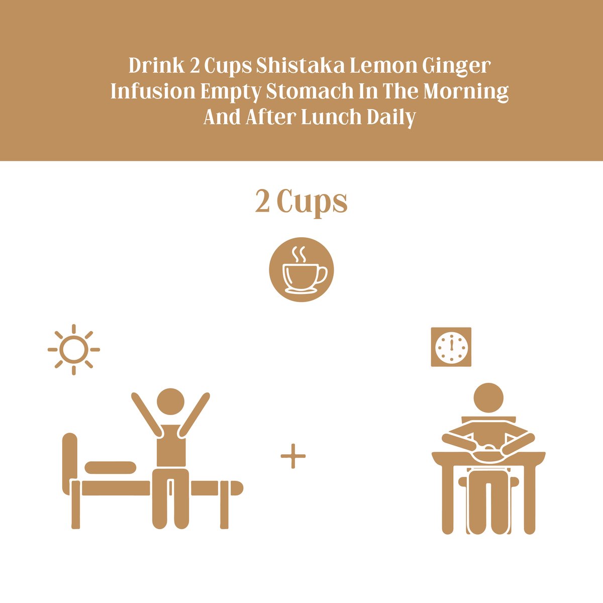 Digestion Booster - Lemon Ginger Infusion - 75 tea bags - 15 Days Pack